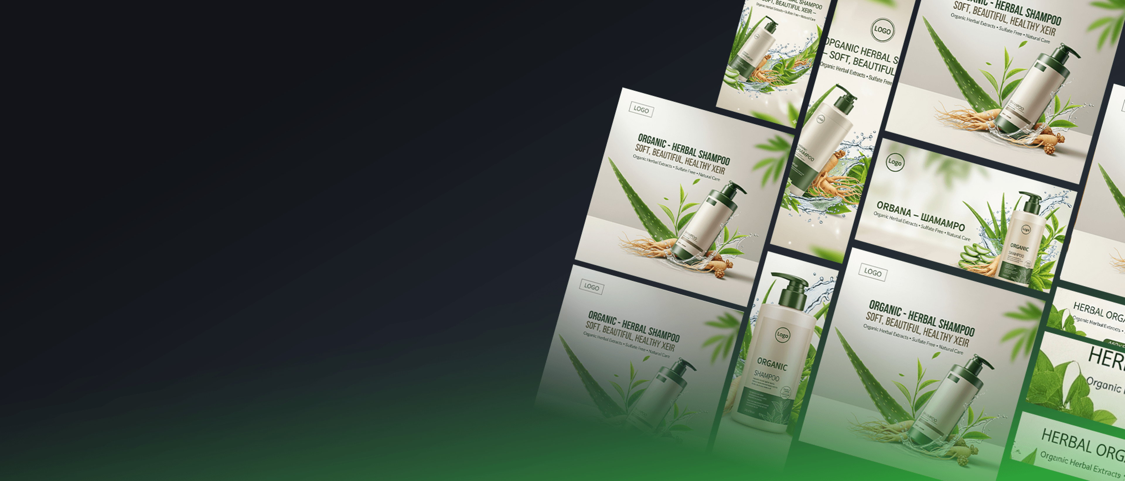 Digital Media Design Packages