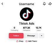 TikTok Ads account